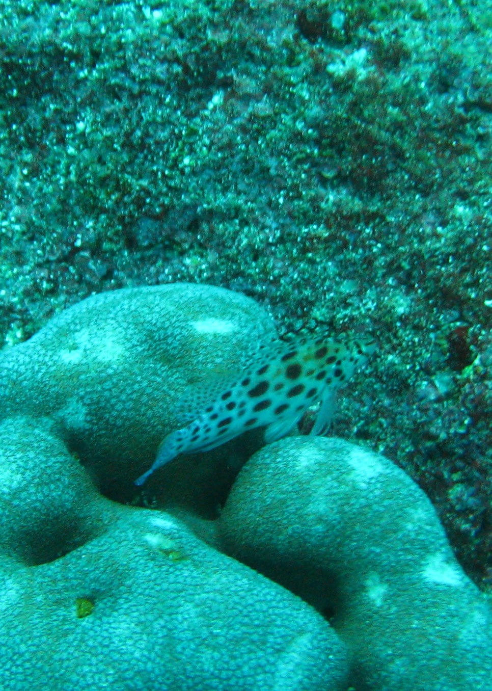 [IMG_63862.jpg]
