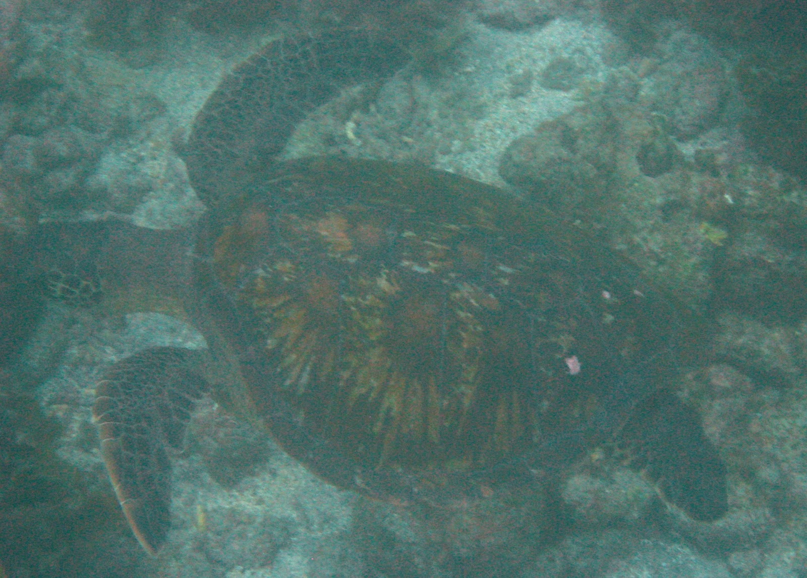 [IMG_64172.jpg]