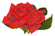[Red Rose[2].png]