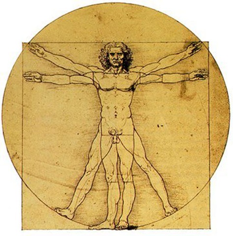 [leonardo_vitruvian3.jpg]