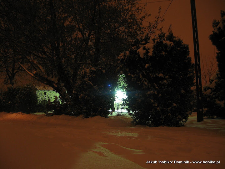 ssimg_0442.jpg