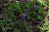 DSCF3544.jpg