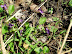 DSCF3545.jpg
