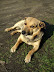 DSCF3435.jpg