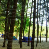 Roundtrip Shots Zambales