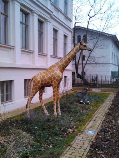 Giraffe Am Kinderzahnarzt