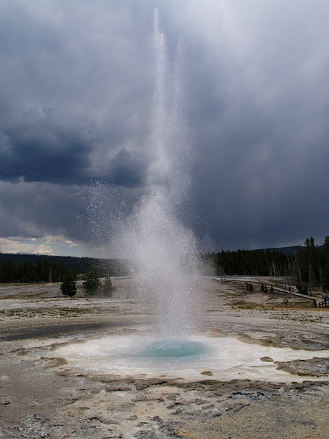 http://lh3.ggpht.com/_jrMYcHayTUk/SEJjTFFsE1I/AAAAAAAACfo/g5JJn6mDFCk/s640/Yellowstone875.jpg