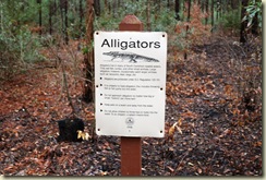 Alligator Sign