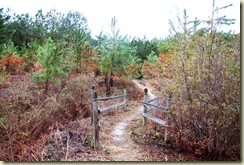 Sinkhole Trail