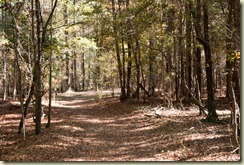 Wide Trail