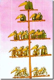 ORGANIGRAMMA DI MAGGIORANZA