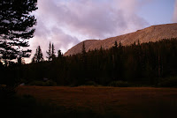 DSC03007.JPG Photo