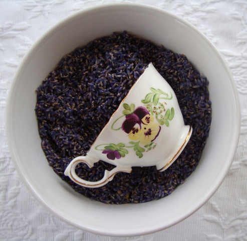 [dollar store 009[5].jpg]