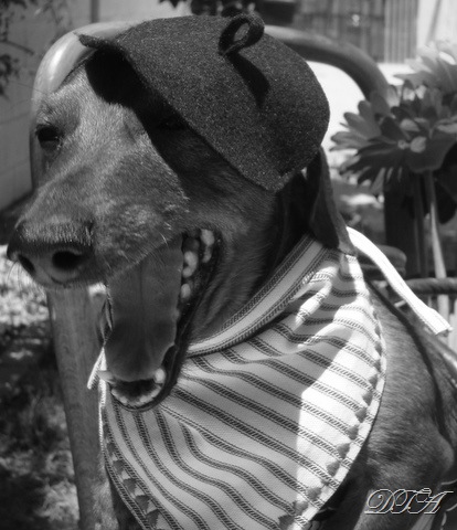 [merci beaucoup 026-3[2].jpg]