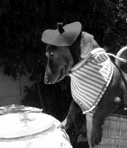 merci beaucoup 006-3 merci beaucoup 006-3