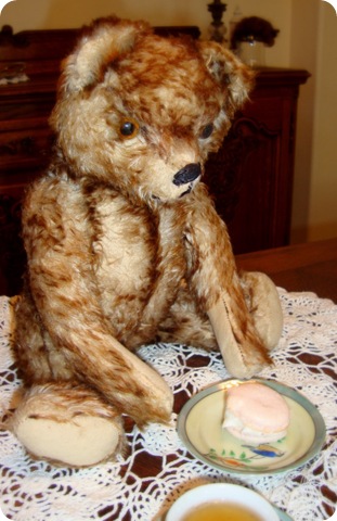 teddy bear tea 021