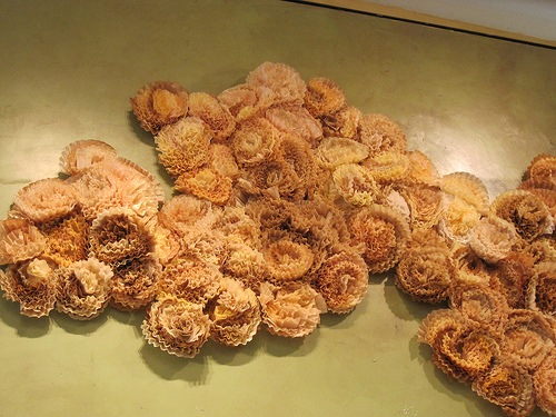 [4504792298_14f199f939[5].jpg]