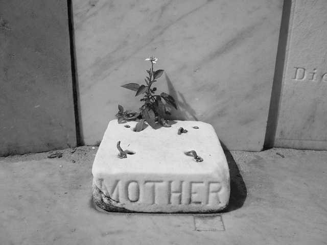 [NewOrleans4306.jpg]