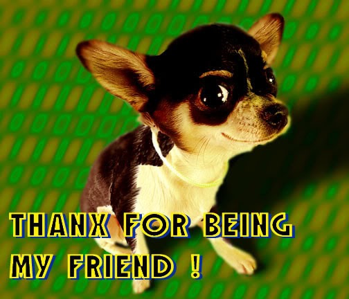 [TFTA_Smiling_Dog[2].jpg]
