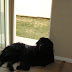 DSC00736.JPG