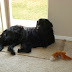 DSC00737.JPG
