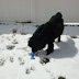 DSC00793.JPG