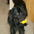 DSC00794.JPG