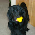 DSC00795.JPG