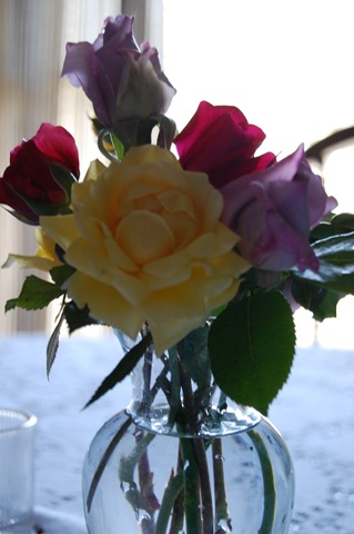 [roses 2[2].jpg]