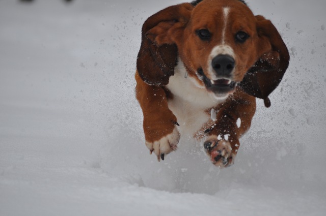 [DSC_0035[9].jpg]