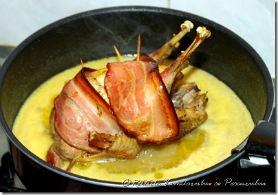 Fazan cu struguri 0029