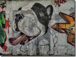 Pintada simpática.