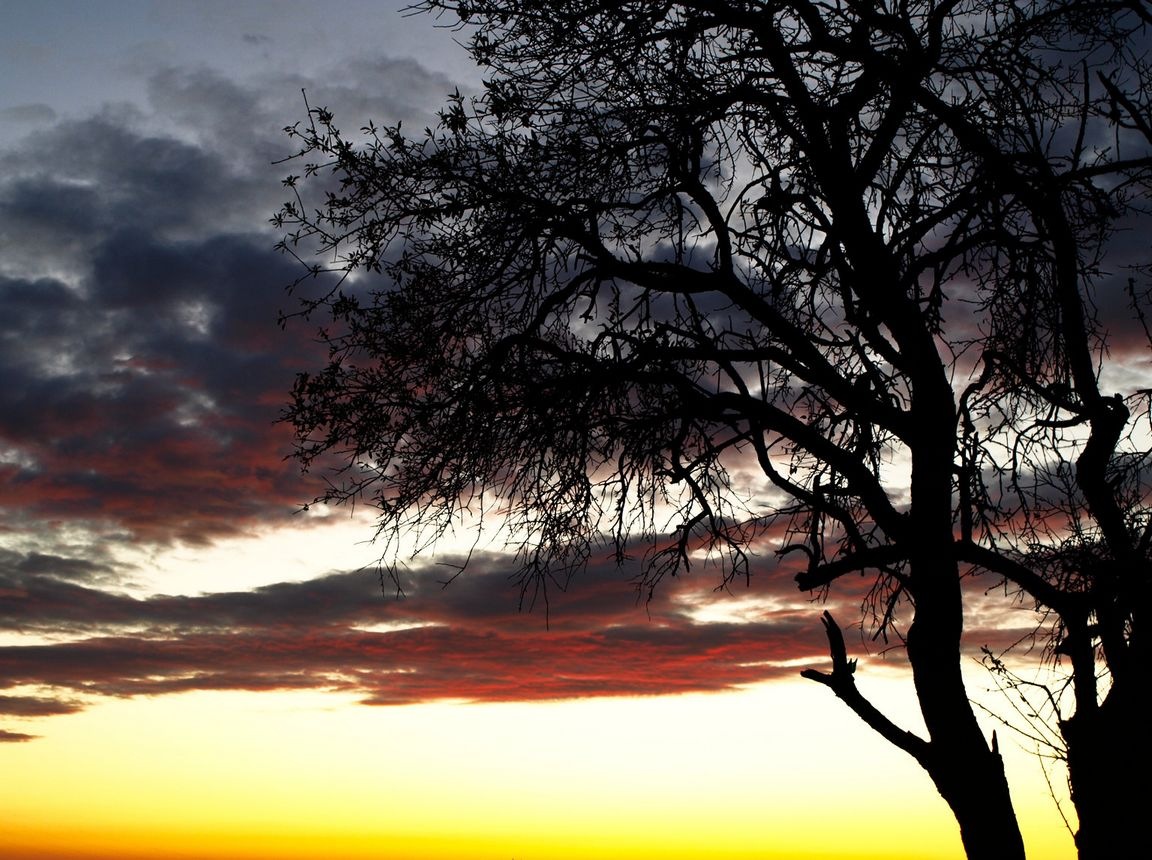 [atardecer-qpr[3].jpg]