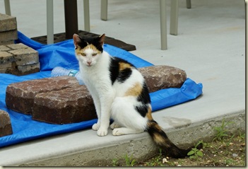 DSC00023 DSC00023