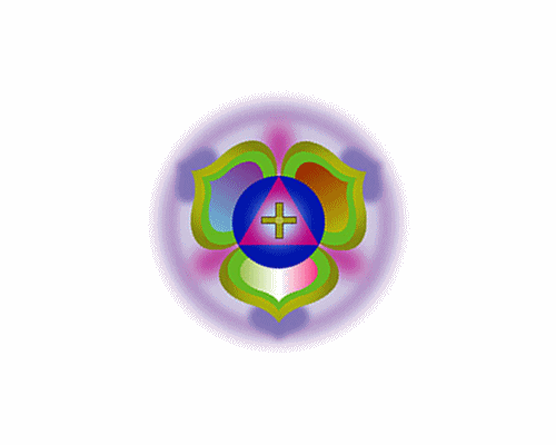 ROS&Aacute;CEA ENERG&Eacute;TICA