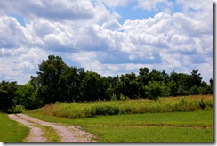 DSC_1298_edited DSC_1298_edited
