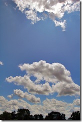 DSC_1286_edited DSC_1286_edited