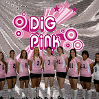 2008 Dig Pink Breast Cancer Awareness Rally