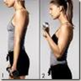 dumbbell bicept curls dumbbell bicept curls