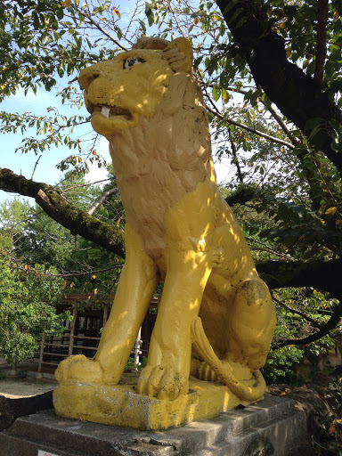 Higashiyama African Lion