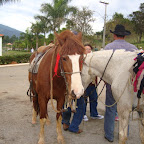 DSC04040.JPG