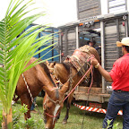DSC04074.JPG