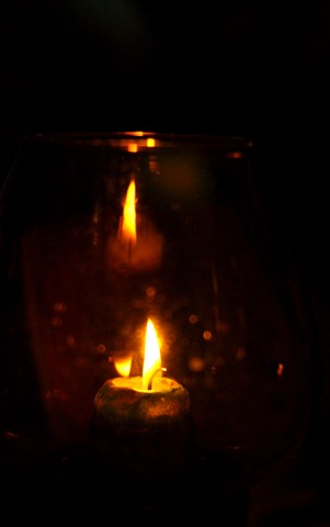 [DSC_51063.jpg]