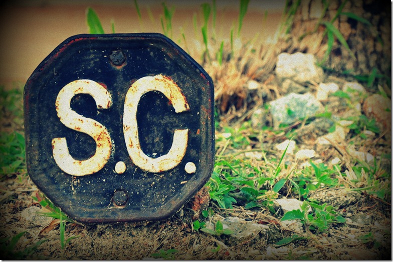 CSC_6367edit