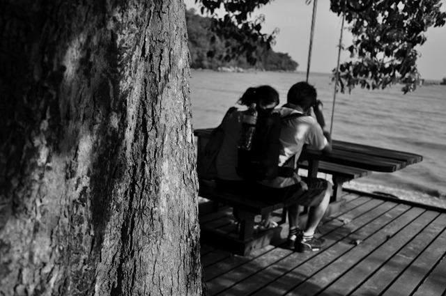 [_DSC1030[7].jpg]