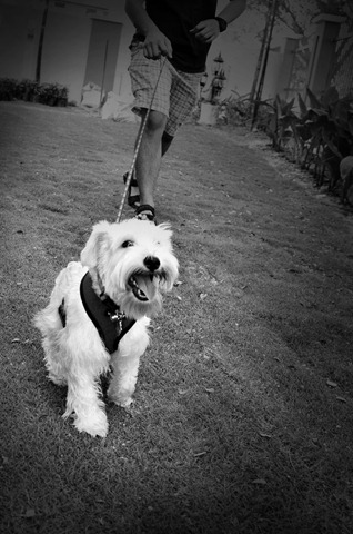 [_DSC1998[3].jpg]