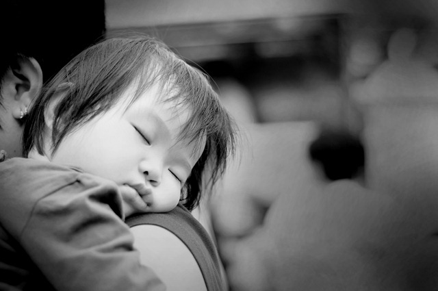 [_DSC4591[11].jpg]