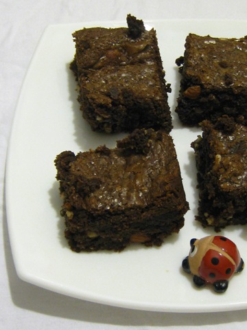 [brownie22[7].jpg]