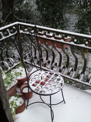 Cesoia & Rastrello di M&M Neve sui colli laziali ed attimi di magia nel giardino