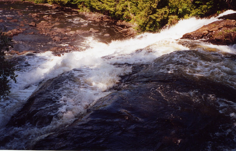 img133.jpg